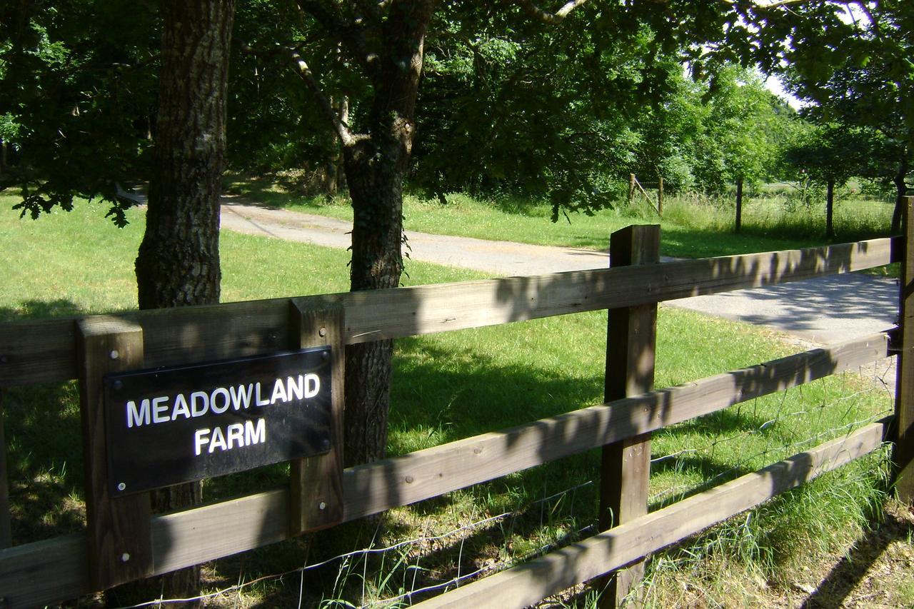 Meadowland Farm Acomodação com café da manhã Dolton Exterior foto
